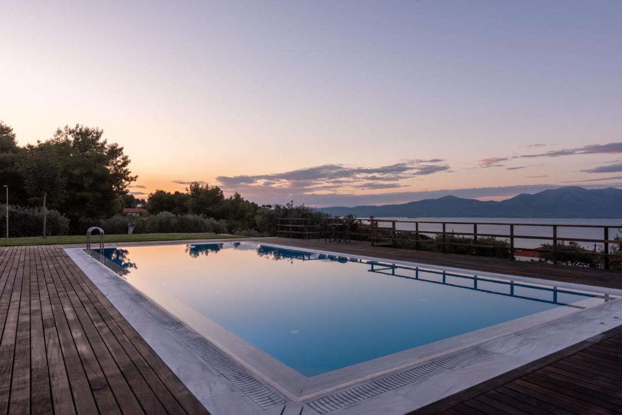 Villa Kalamos / Sea View And Pool Nearby Athens エクステリア 写真