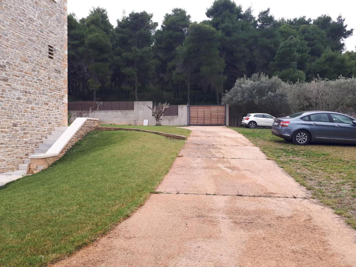 Villa Kalamos / Sea View And Pool Nearby Athens エクステリア 写真